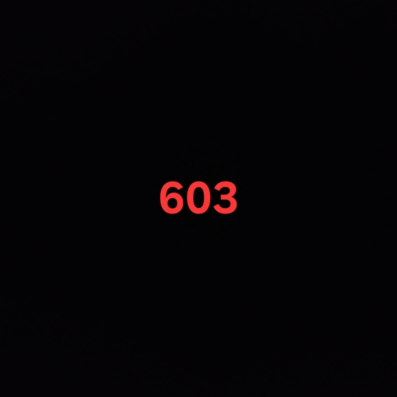 Chico's Black and Cream Multi-Strand Necklace - Picture 6 of 6